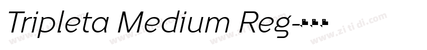 Tripleta Medium Reg字体转换 Tripleta Medium Reg字体转换